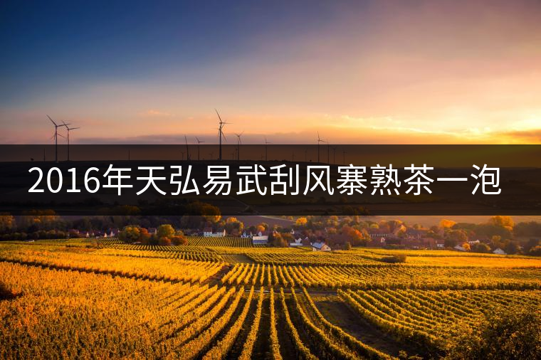2016年天弘易武刮風(fēng)寨熟茶一泡耐人尋味！
