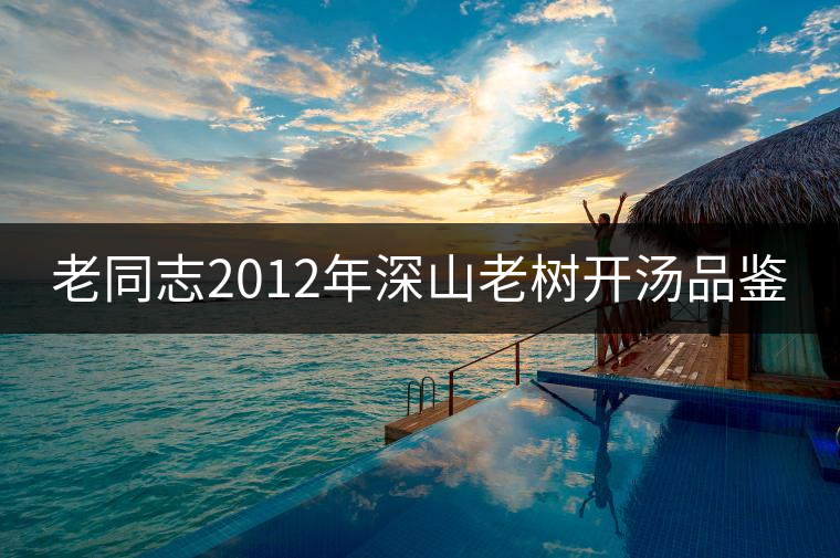 老同志2012年深山老樹(shù)開(kāi)湯品鑒 老同志2012年深山老樹(shù)開(kāi)湯品鑒