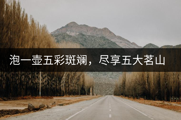 泡一壺五彩斑斕，盡享五大茗山之味