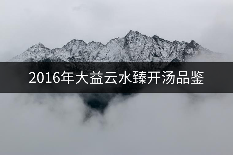 2016年大益云水臻開湯品鑒 2016年大益云水臻開湯品鑒