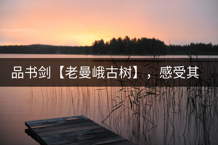 品書劍【老曼峨古樹】，感受其霸道苦韻