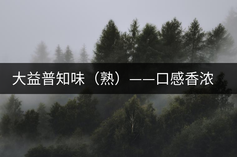 大益普知味（熟）——口感香濃，陳香味足