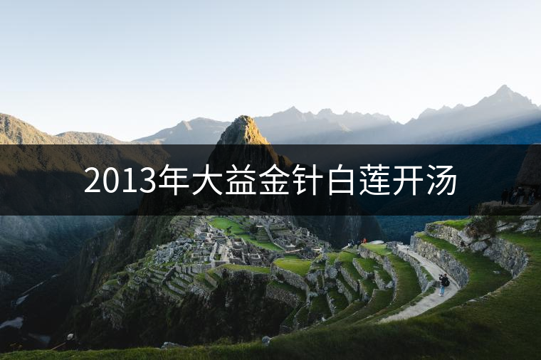 2013年大益金針白蓮開湯