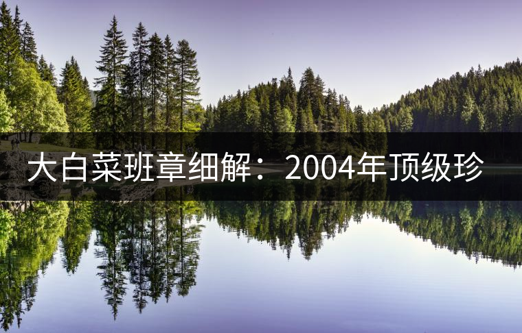 大白菜班章細解:2004年頂級珍藏青餅 大白菜班章細解:2004年頂級珍藏青餅