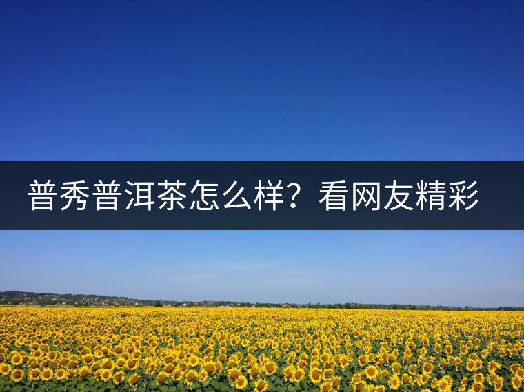 普秀普洱茶怎么樣？看網(wǎng)友精彩回答