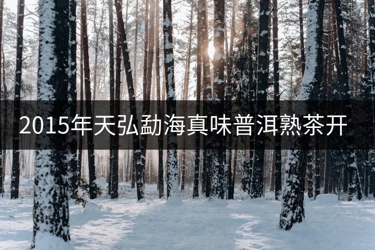 2015年天弘勐海真味普洱熟茶開湯品鑒 2015年天弘勐海真味普洱熟茶開湯品鑒