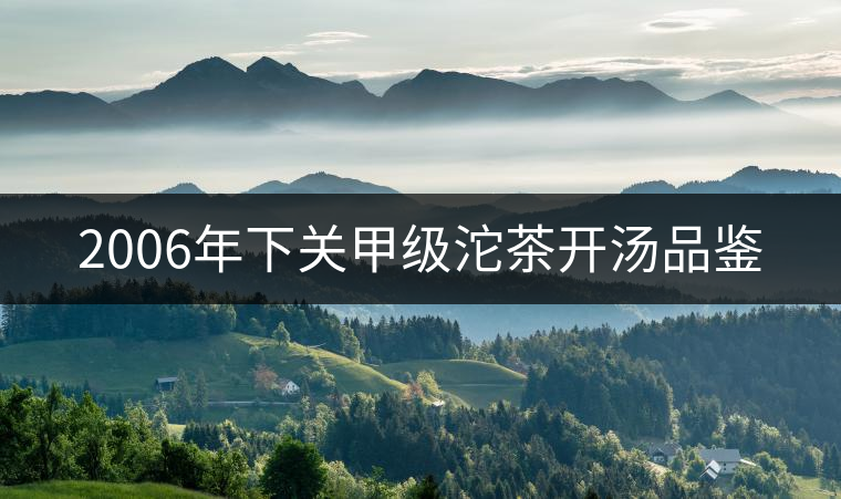 2006年下關(guān)甲級(jí)沱茶開湯品鑒