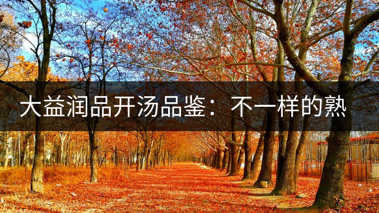 大益潤(rùn)品開(kāi)湯品鑒：不一樣的熟茶