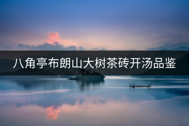 八角亭布朗山大樹(shù)茶磚開(kāi)湯品鑒 八角亭布朗山大樹(shù)茶磚開(kāi)湯品鑒