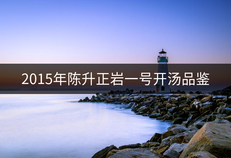 2015年陳升正巖一號(hào)開(kāi)湯品鑒