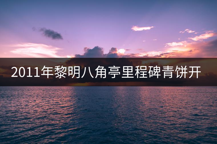 2011年黎明八角亭里程碑青餅開湯品鑒 2011年黎明八角亭里程碑青餅開湯品鑒