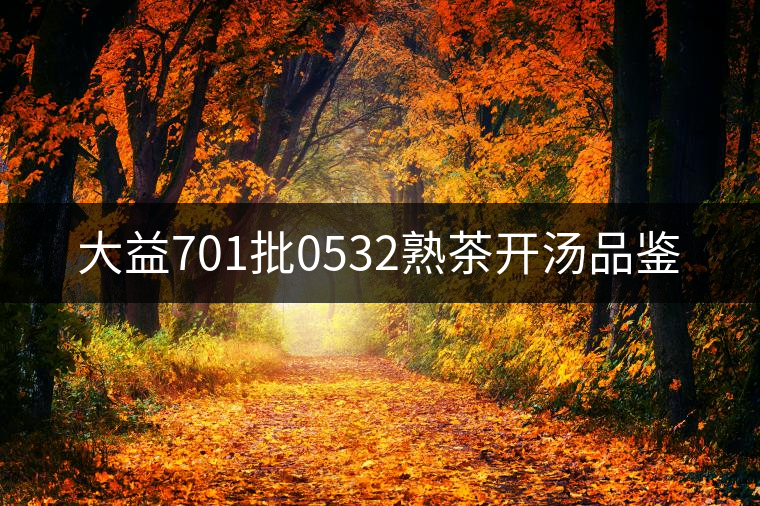 大益701批0532熟茶開(kāi)湯品鑒