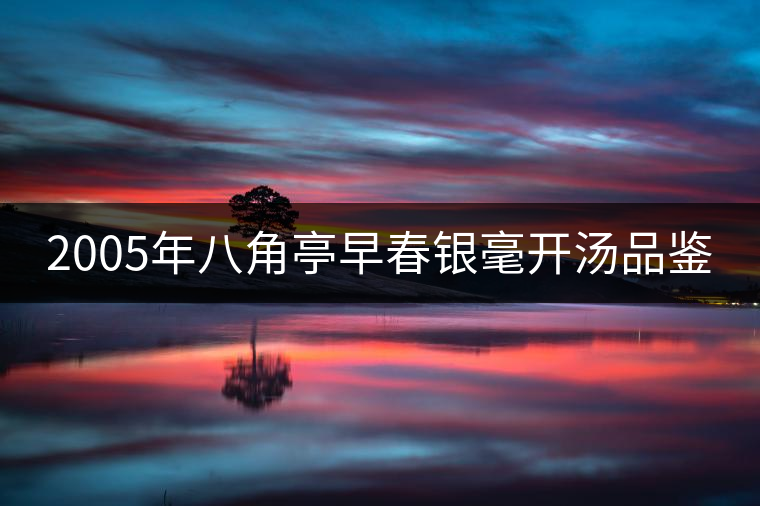 2005年八角亭早春銀毫開(kāi)湯品鑒 2005年八角亭早春銀毫開(kāi)湯品鑒