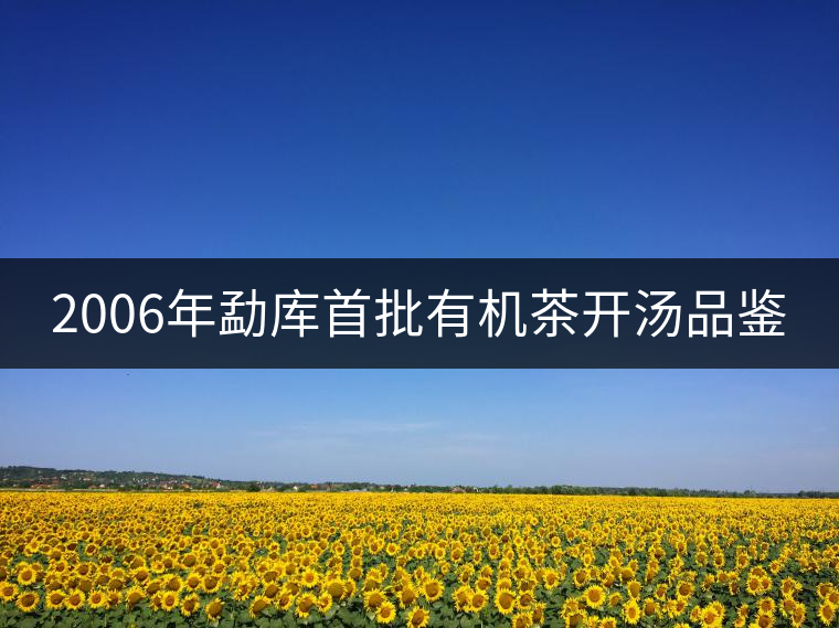 2006年勐庫首批有機(jī)茶開湯品鑒 2006年勐庫首批有機(jī)茶開湯品鑒