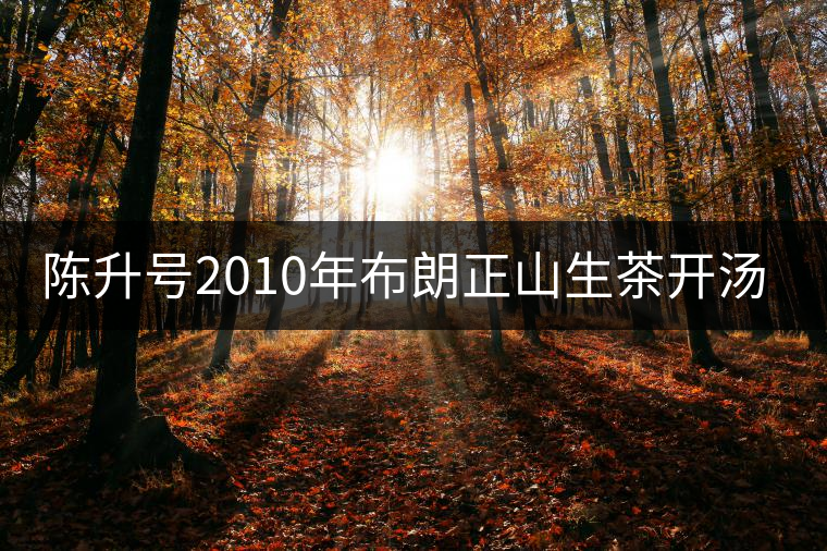 陳升號2010年布朗正山生茶開湯品鑒