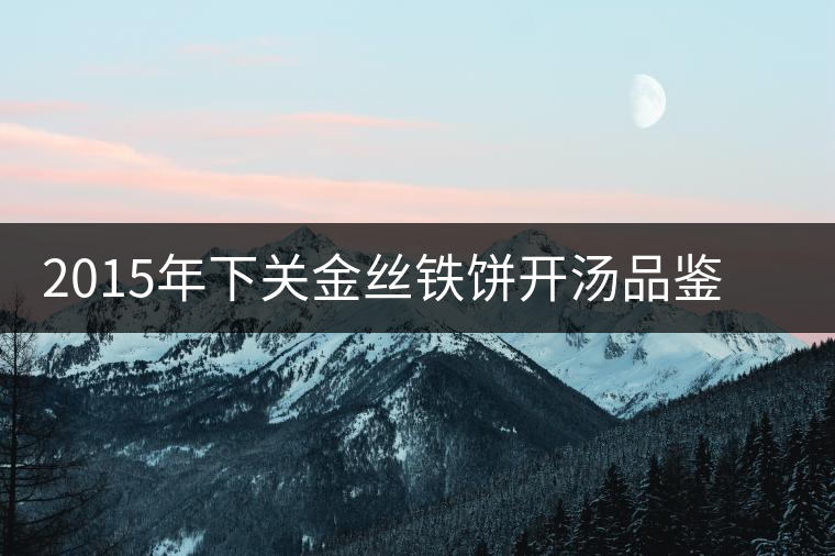 2015年下關(guān)金絲鐵餅開湯品鑒：香氣高揚(yáng)、滋味綿和