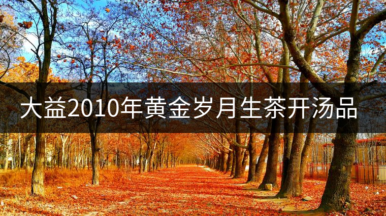 大益2010年黃金歲月生茶開湯品鑒