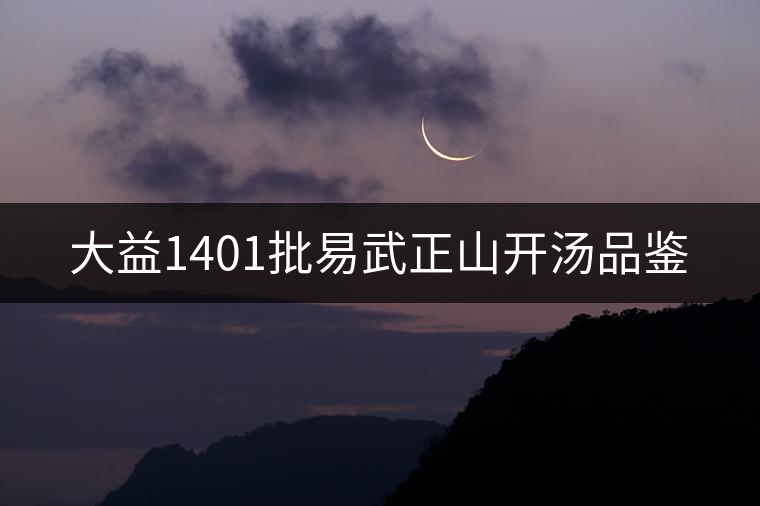 大益1401批易武正山開湯品鑒