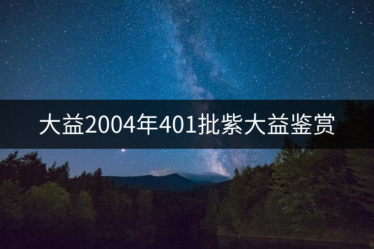 大益2004年401批紫大益鑒賞