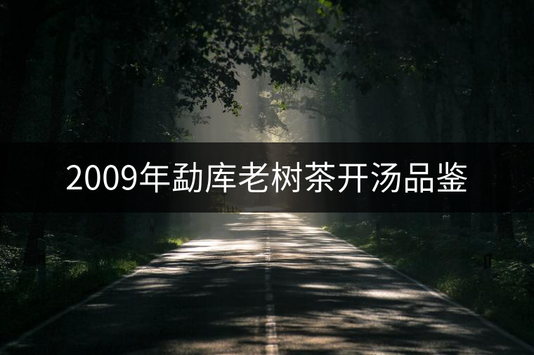 2009年勐庫老樹茶開湯品鑒 2009年勐庫老樹茶開湯品鑒