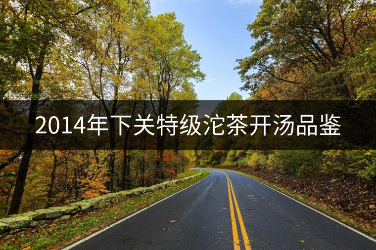 2014年下關(guān)特級沱茶開湯品鑒 2014年下關(guān)特級沱茶開湯品鑒