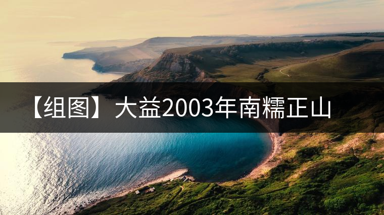 【組圖】大益2003年南糯正山餅開湯
