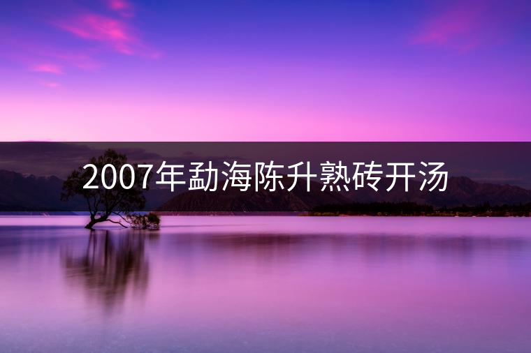 2007年勐海陳升熟磚開湯