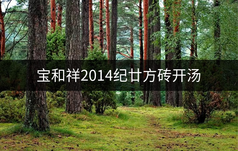 寶和祥2014紀廿方磚開湯