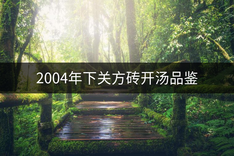 2004年下關(guān)方磚開湯品鑒 2004年下關(guān)方磚開湯品鑒