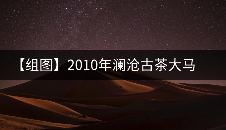 【組圖】2010年瀾滄古茶大馬幫千家寨開(kāi)湯