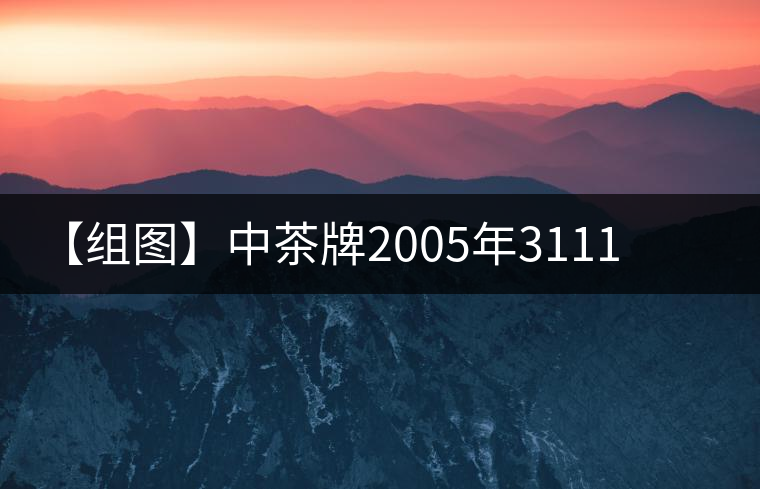 【組圖】中茶牌2005年3111布朗大樹茶開湯 【組圖】中茶牌2005年3111布朗大樹茶開湯