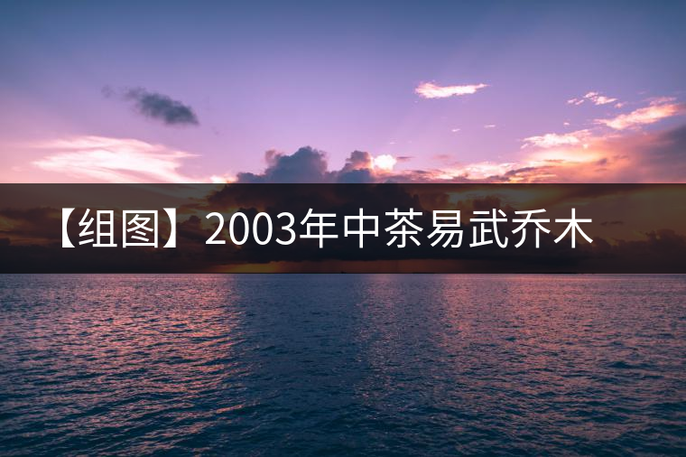 【組圖】2003年中茶易武喬木古茶開(kāi)湯