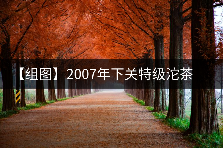 【組圖】2007年下關(guān)特級(jí)沱茶開湯 【組圖】2007年下關(guān)特級(jí)沱茶開湯