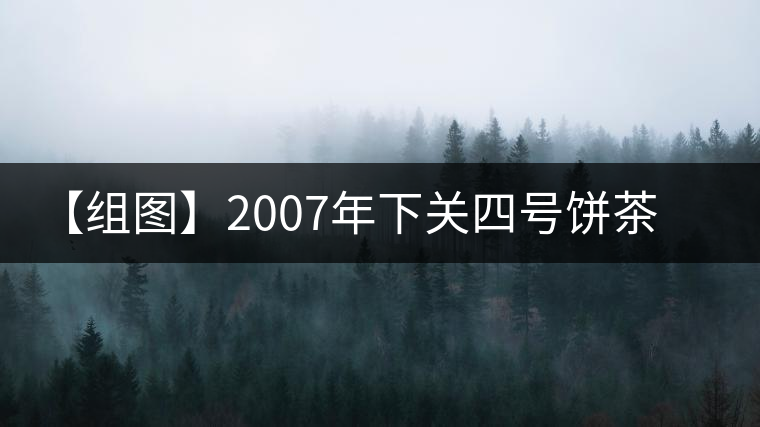 【組圖】2007年下關(guān)四號餅茶開湯 【組圖】2007年下關(guān)四號餅茶開湯
