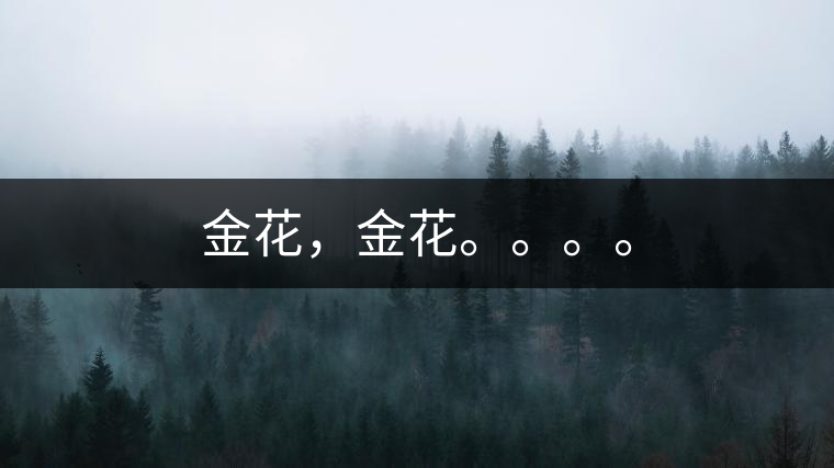 金花，金花。。。。