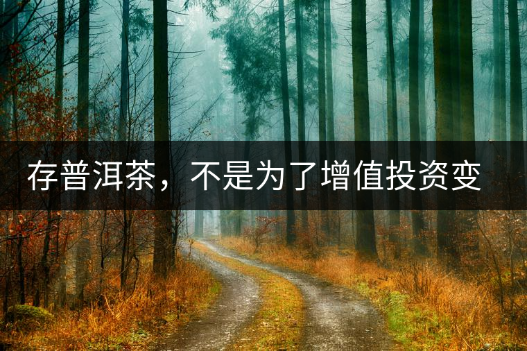 存普洱茶，不是為了增值投資變現(xiàn)，而是為了自己以后有純正的