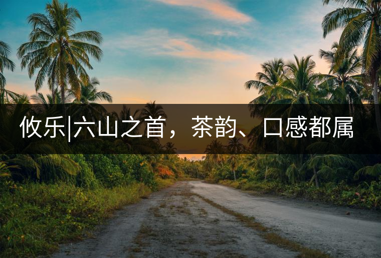 攸樂|六山之首，茶韻、口感都屬古六山一系