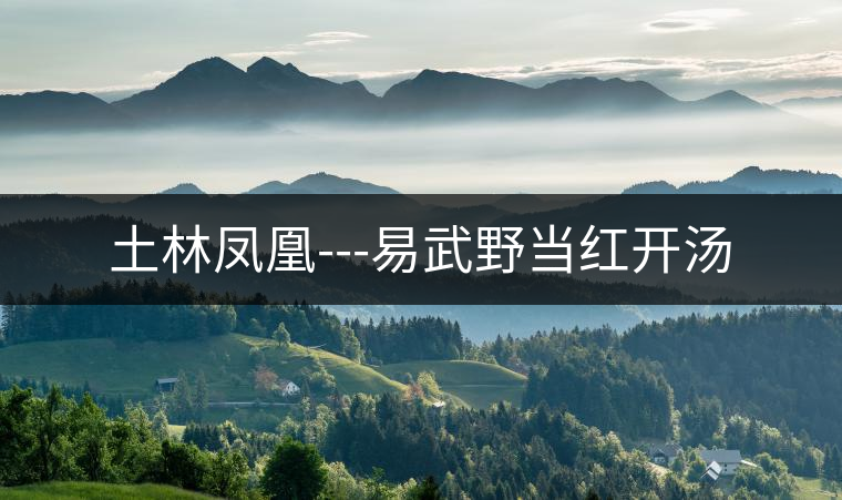 土林鳳凰---易武野當(dāng)紅開湯 土林鳳凰---易武野當(dāng)紅開湯