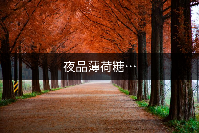 夜品薄荷糖… 夜品薄荷糖…