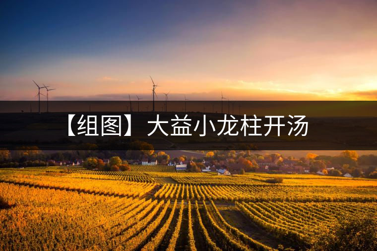 【組圖】大益小龍柱開湯 【組圖】大益小龍柱開湯