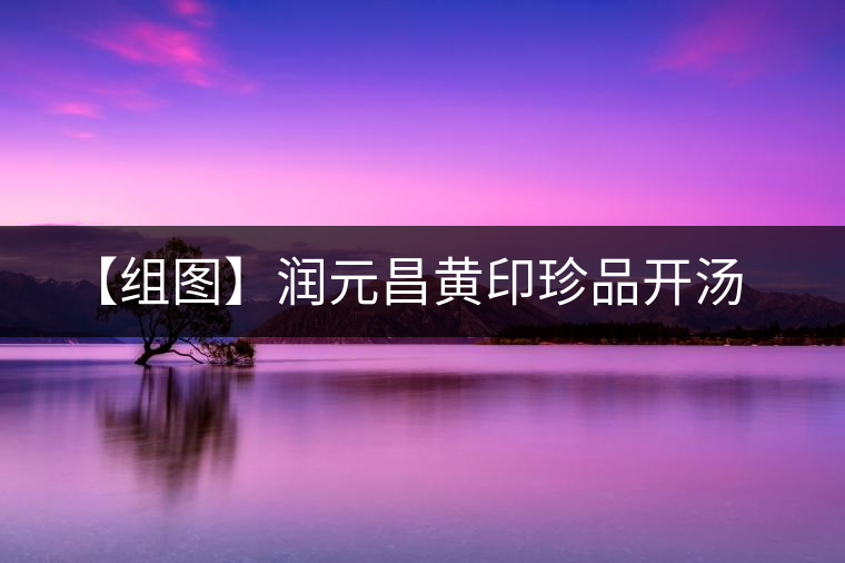 【組圖】潤(rùn)元昌黃印珍品開湯 【組圖】潤(rùn)元昌黃印珍品開湯