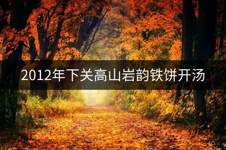 2012年下關(guān)高山巖韻鐵餅開(kāi)湯