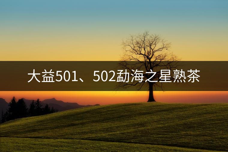 大益501、502勐海之星熟茶