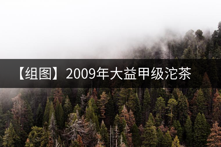 【組圖】2009年大益甲級(jí)沱茶開(kāi)湯 【組圖】2009年大益甲級(jí)沱茶開(kāi)湯