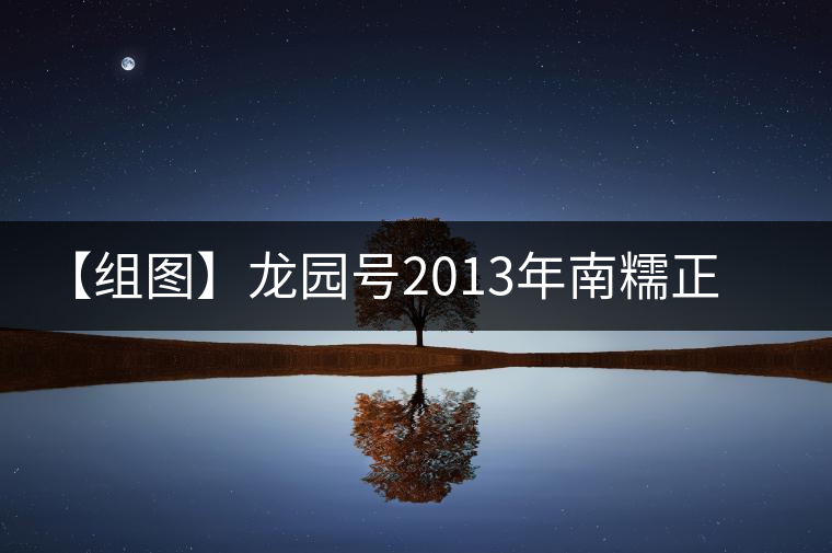 【組圖】龍園號(hào)2013年南糯正山小餅開湯 【組圖】龍園號(hào)2013年南糯正山小餅開湯