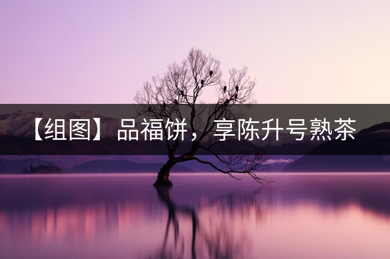 【組圖】品福餅，享陳升號熟茶滋味