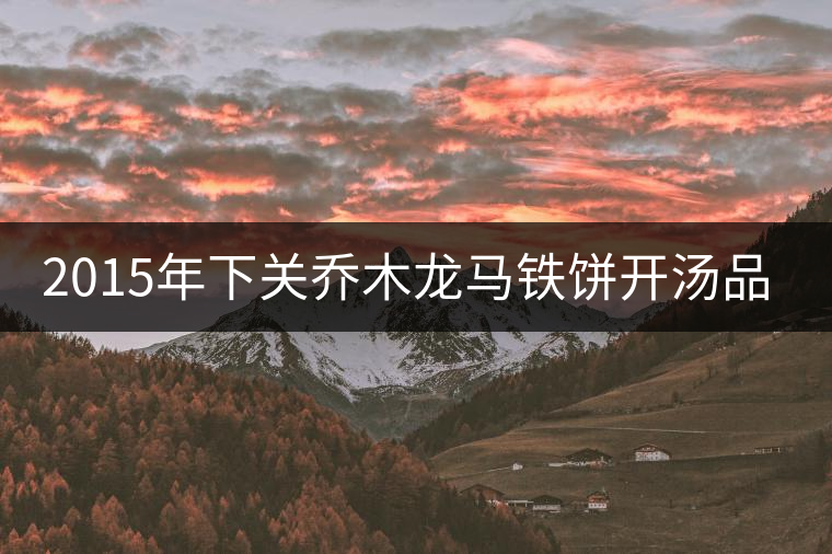 2015年下關(guān)喬木龍馬鐵餅開湯品鑒 2015年下關(guān)喬木龍馬鐵餅開湯品鑒