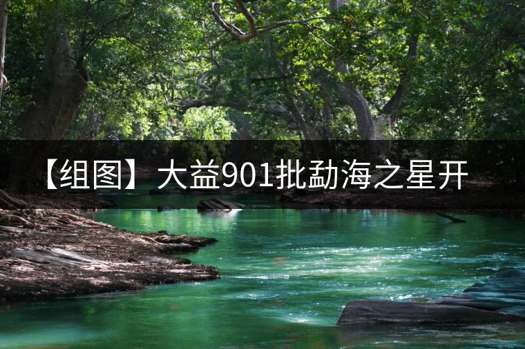【組圖】大益901批勐海之星開湯 【組圖】大益901批勐海之星開湯