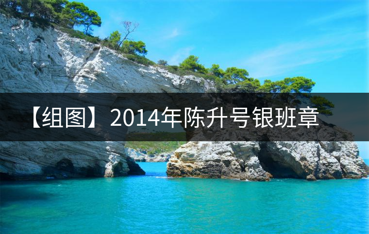 【組圖】2014年陳升號(hào)銀班章開(kāi)湯 【組圖】2014年陳升號(hào)銀班章開(kāi)湯