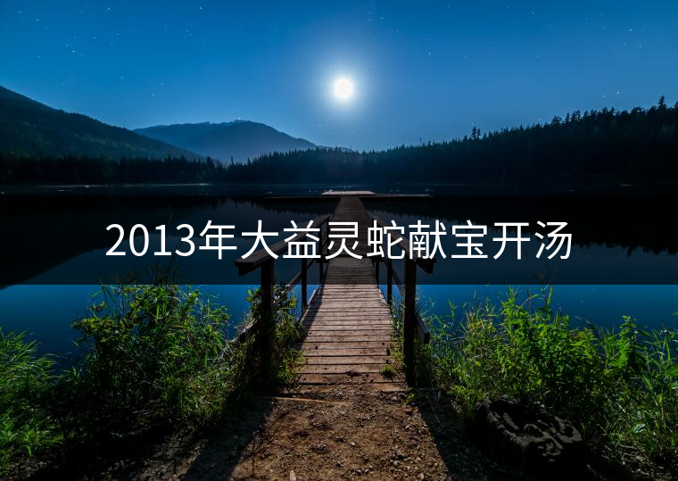 2013年大益靈蛇獻(xiàn)寶開(kāi)湯 2013年大益靈蛇獻(xiàn)寶開(kāi)湯